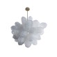 IQ2056 CORAL CLUSTER